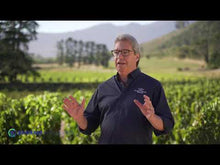 Load and play video in Gallery viewer, RICKETY BRIDGE The Bridge Cabernet Sauvignon 750ml