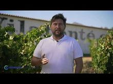 Load and play video in Gallery viewer, VILAFONTE Seriously Old Dirt 750ml