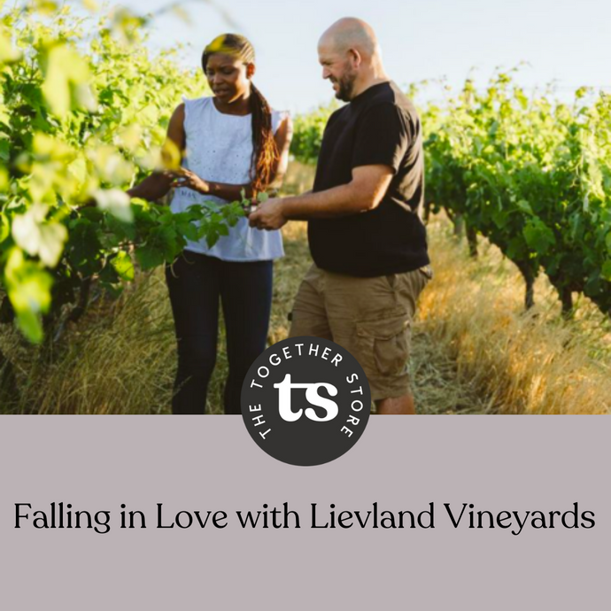 Falling in Love with Lievland Vineyards
