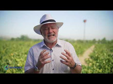 Load and play video in Gallery viewer, KEN FORRESTER Sauvignon Blanc Reserve 750ml
